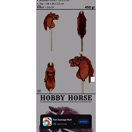 hobby horse