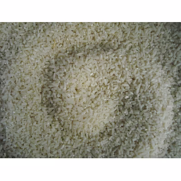 swarna rice non-basmati by dattatray for large-volume buyers seeking dependable quality and competitive pricing