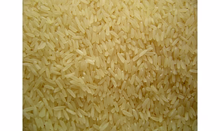 Parboiled Rice Non-Basmati by Dattatray for importers, wholesale sourcing, importer distribution, and B2B bulk supply