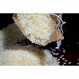 raw non-basmati rice non-basmati by dattatray for everyday cooking, wholesale sourcing, importer distribution, and b2b bulk supply