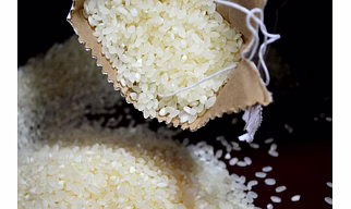 Raw Non-Basmati Rice Non-Basmati by Dattatray for everyday cooking, wholesale sourcing, importer distribution, and B2B bulk supply