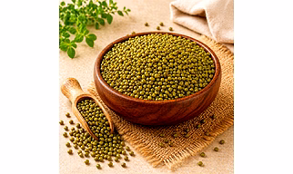 Moong Dal (Whole) Pulses by Dattatray for sprouting, wholesale sourcing, importer distribution, and B2B bulk supply