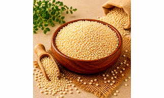 Urad Dal (White) Pulses by Dattatray for global food manufacturers, wholesale sourcing, importer distribution, and B2B bulk supply