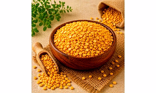 Chana Dal Pulses by Dattatray for international wholesalers, wholesale sourcing, importer distribution, and B2B bulk supply
