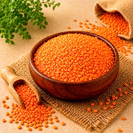 masoor dal pulses by dattatray for global importers, wholesale sourcing, importer distribution, and b2b bulk supply