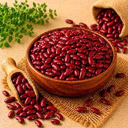 rajma (kidney beans) pulses by dattatray for international importers, wholesale sourcing, importer distribution, and b2b bulk supply