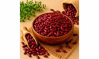 Rajma (Kidney Beans) Pulses by Dattatray for international importers, wholesale sourcing, importer distribution, and B2B bulk supply