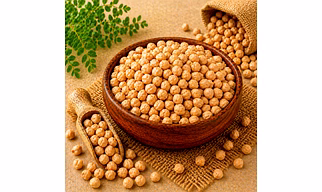 Kabuli Chana (Chickpeas) Pulses by Dattatray for global importers, wholesale sourcing, importer distribution, and B2B bulk supply