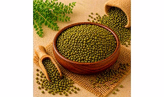 Green Gram Pulses by Dattatray for global importers, wholesale sourcing, importer distribution, and B2B bulk supply