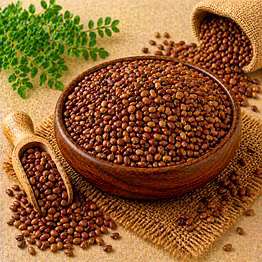 horse gram (kulthi) pulses by dattatray for international ingredient buyers, wholesale sourcing, importer distribution, and b2b bulk supply