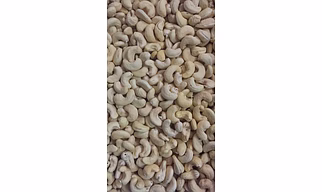 Cashew PKW 1
