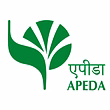 APEDA-registered agricultural commodity exporter from India