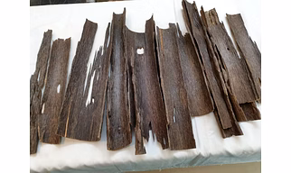 Agarwood (oud)