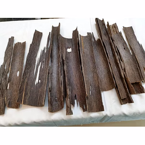 Agarwood (oud)