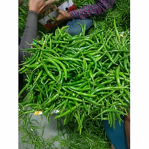 Green Chilli