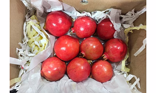Pomegranate