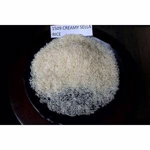 1509 Basmati Rice