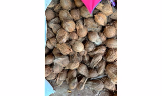 Semi Husked Coconut