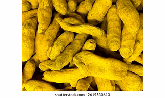 Turmeric finger whole