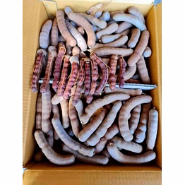 tamarind
