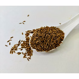 enigma exports cumin seeds