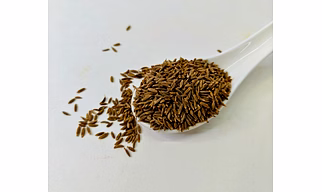 Cumin Seeds