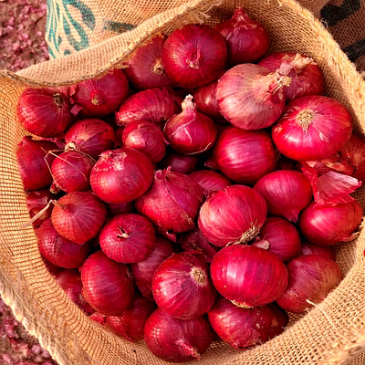 Onion-1