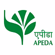 APEDA Certificate