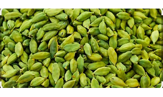 Green cardamom