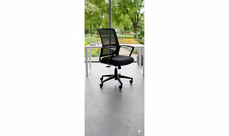 EliteComfort Ergonomic Mesh Office Chair (Black)