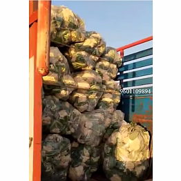 cauliflower