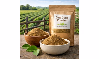cow dung powder/manure