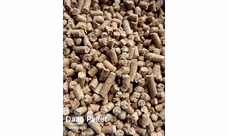 cattle feed pallet