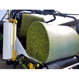 corn silage