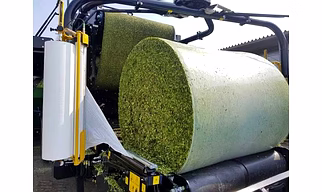 corn silage