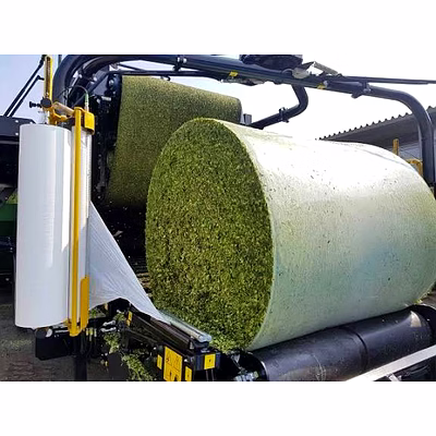 corn silage