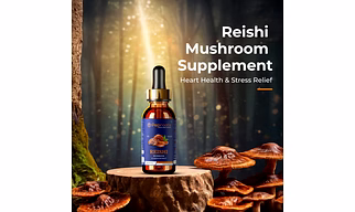 REISHI Mushroom