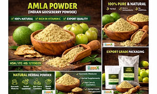 Premium Amla Powder (Indian Gooseberry Powder) – Natural Herbal Powder | Export Quality | Bulk Supply