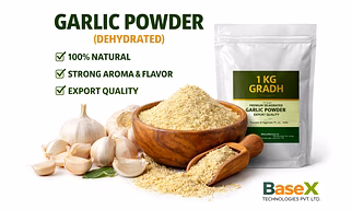 Premium Dehydrated Garlic Powder | Natural Spice Ingredient | Bulk Export Supply from India