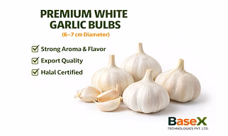 Fresh White Garlic Bulbs (6–7 cm) | Premium Grade | Export Supply from India