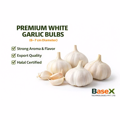 fresh white garlic bulbs (6–7 cm) | premium grade | export supply from india