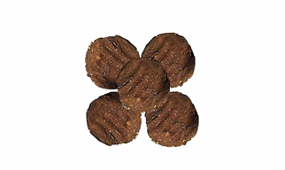 Cow Dung