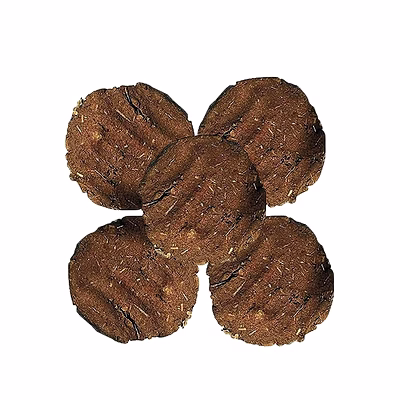 cow dung