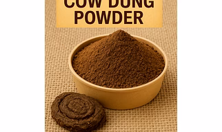 Cow Dung Powder