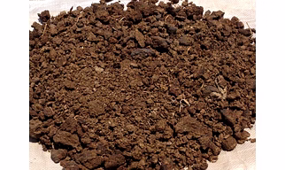 Cow  Manure Powder