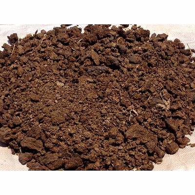 cow manure powder