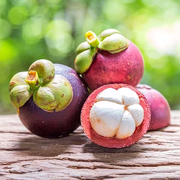 mangosteen