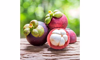 Mangosteen