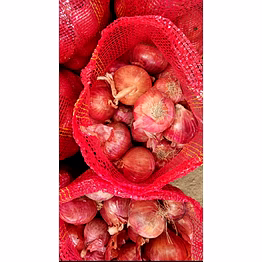 red onion