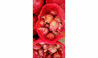 Red onion